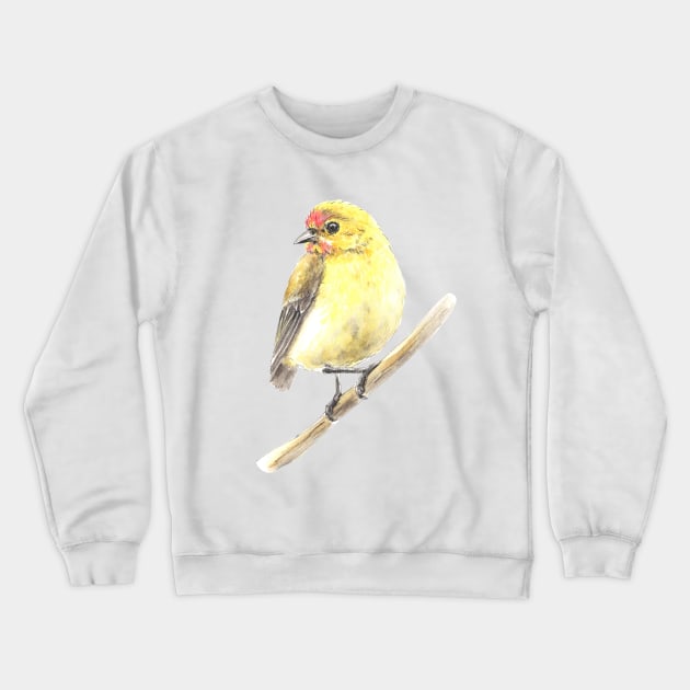 Tit Crewneck Sweatshirt by katerinamk